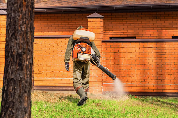 Bed Bug Clearance Verification and Documentation in Englewood